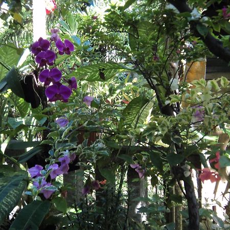 Villa Bhuana Alit อูบุด ภายนอก รูปภาพ