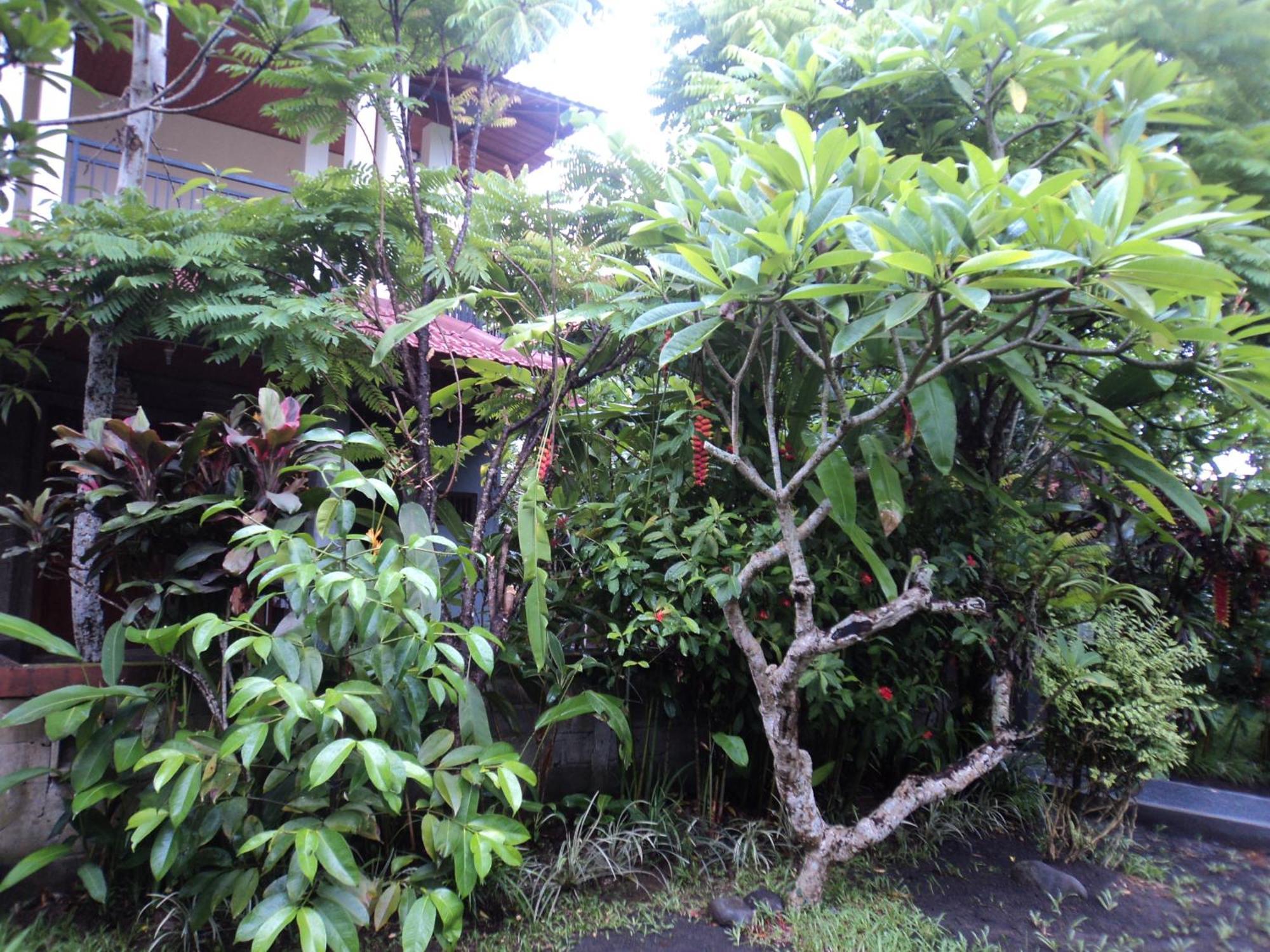 Villa Bhuana Alit อูบุด ห้อง รูปภาพ