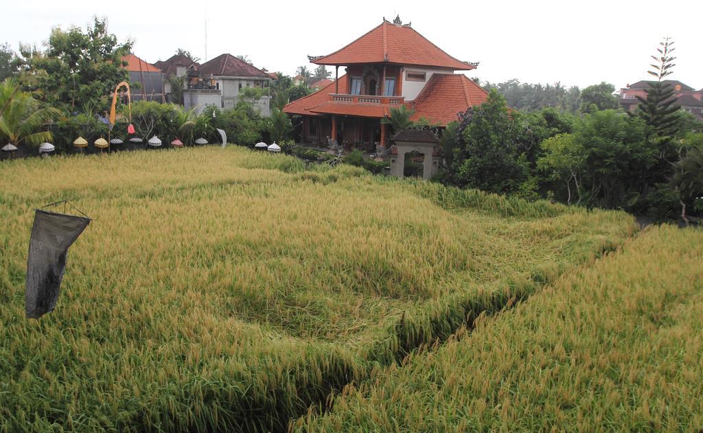 Villa Bhuana Alit อูบุด ภายนอก รูปภาพ