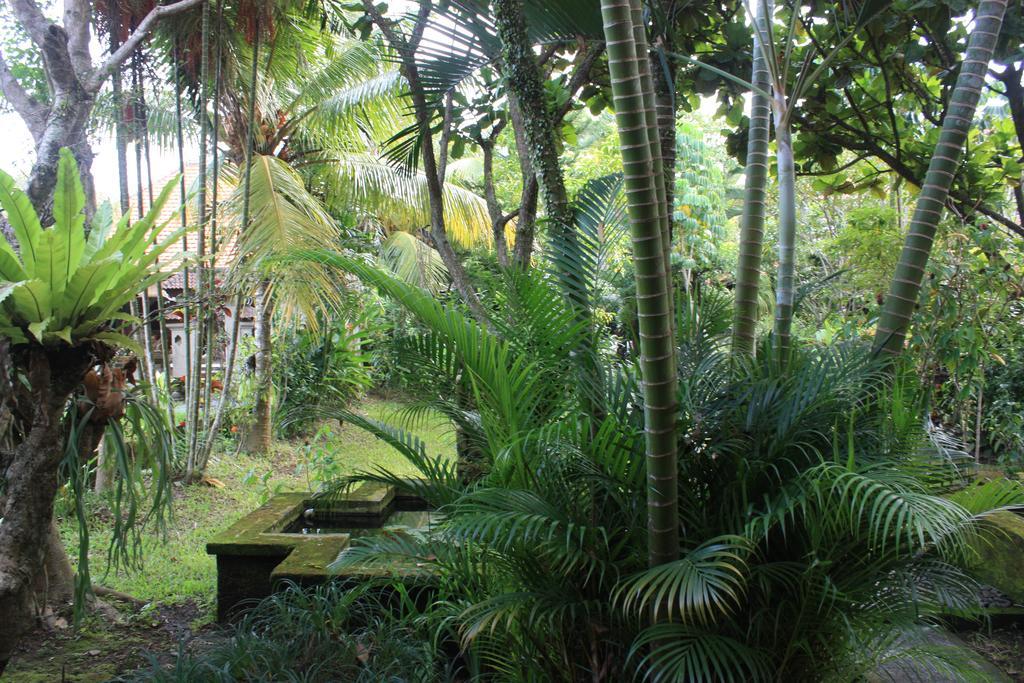 Villa Bhuana Alit อูบุด ภายนอก รูปภาพ